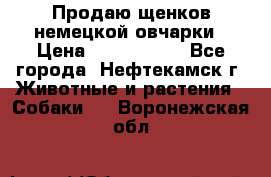 Продаю щенков немецкой овчарки › Цена ­ 5000-6000 - Все города, Нефтекамск г. Животные и растения » Собаки   . Воронежская обл.